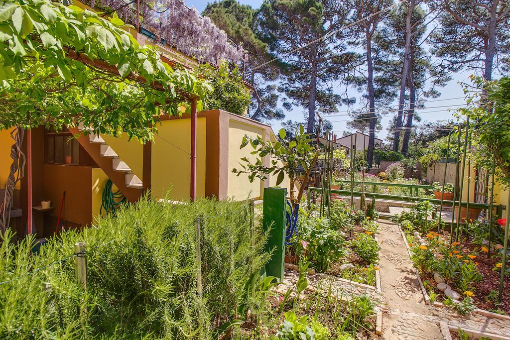 Apartman Petra Mali Lošinj